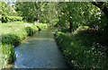 2010 : River Wylye, between Bishopstrow and Boreham