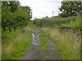 Bridleway at Duckworth Clough