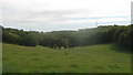 Valley near Atchester Wood