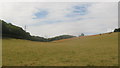 Valley near Fryarne Park Wood