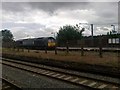 Freight train passing Northfield station