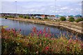 Disused dock at Barry