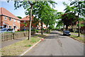 Tree lined road off Bowthorpe Rd