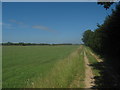 Footpath to Lynsore Bottom