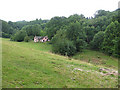 Wooded hillside, East Dean