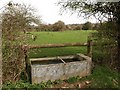 Drinking trough near Clapton in Gordano