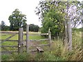 Footpath To Tong Norton