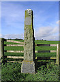 The John Leydon Obelisk at Henlawshiel