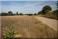 Bridleway at Hickford Hill