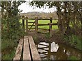 Plank bridge and gate near Clapton in Gordano