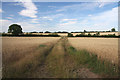 Farm track near Knowl Green