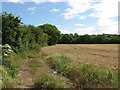 Fields near Dinas Powys