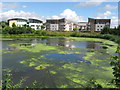 Inlet of Ely River, Cardiff