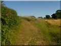 Footpath junction on the Elham Valley Way near Thomas Acre Wood