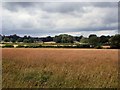 Farms near Cleavers Cottages