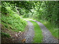 Bridleway from Pen-y-banc