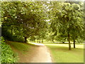 Path in Bramcote Hills Country Park