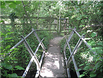 SP2160 : Footbridge over the Bell Brook by Robin Stott