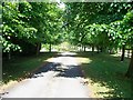 Driveway to the manor.