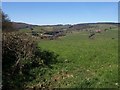 Field with a view, Merridge