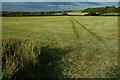 Fields near Cropthorne