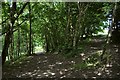 The footpath from Twitchen to Woolacombe