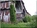 Underneath Sankey Viaduct