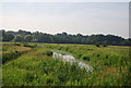 River Yare, Bowthorpe Marshes