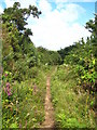 Bridleway between Maen Cottage & Mean Pern