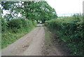 Minor road near Waitby Crossing