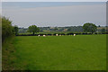 Field south of the Cwinten valley