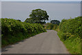 Road heading for Llwyncelyn