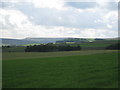 Restored fields near Middle Cliff Farm