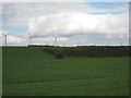 Looking towards Royd Moor