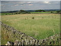 Looking in a North-Easterly direction from Mossley Road