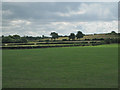 Farmland near Heath End