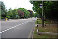 Bus stop, Newmarket Rd