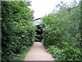 Mid summer vegetation encroaches on path under the East Lancs Road