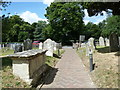 Fawley- All Saints: church path