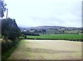 Hay field  south of the Newry Road