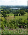 Hillside with view east to Ogston reservoir