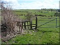 Footpath off Lower Wyke Lane, Wyke