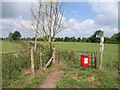 Footpath, Stoke Canon