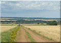 Farm track, Sherburn Carr