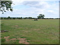 Farmland, West Heslerton Carr