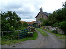 NT4676 : Cottage at Redhouse, near Spittal, East Lothian by kim traynor