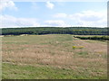 Farmland looking towards Knapton Wood