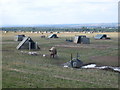 Pig farming near Mill Grange