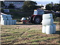 Freshly wrapped mini round bales