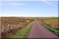 Minor road near Clyth